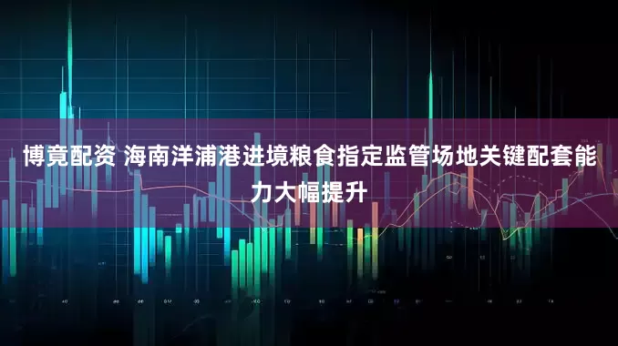 博竟配资 海南洋浦港进境粮食指定监管场地关键配套能力大幅提升