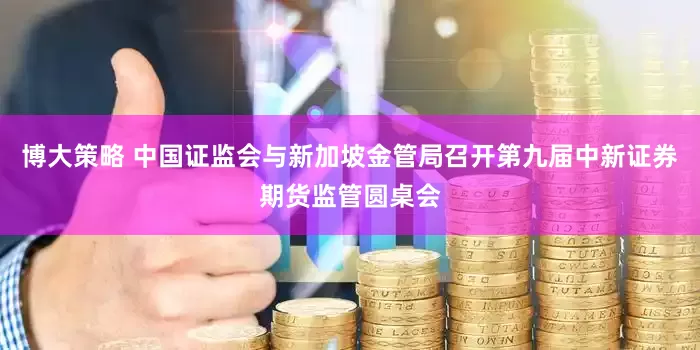 博大策略 中国证监会与新加坡金管局召开第九届中新证券期货监管圆桌会