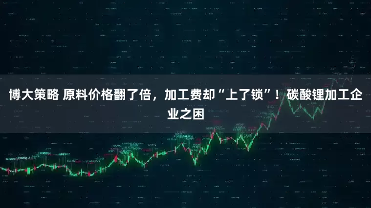 博大策略 原料价格翻了倍，加工费却“上了锁”！碳酸锂加工企业之困