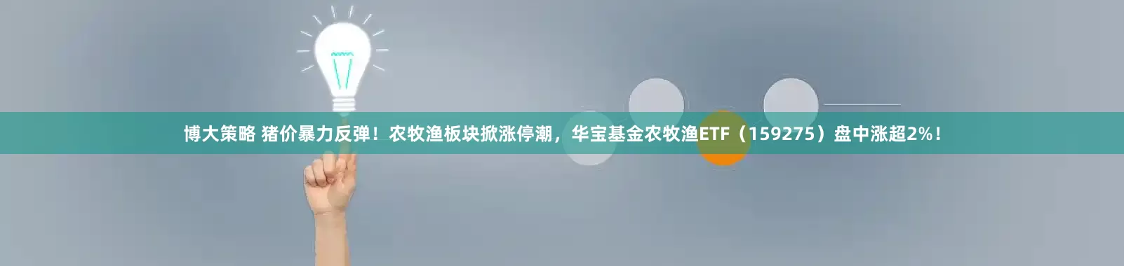 博大策略 猪价暴力反弹！农牧渔板块掀涨停潮，华宝基金农牧渔ETF（159275）盘中涨超2%！